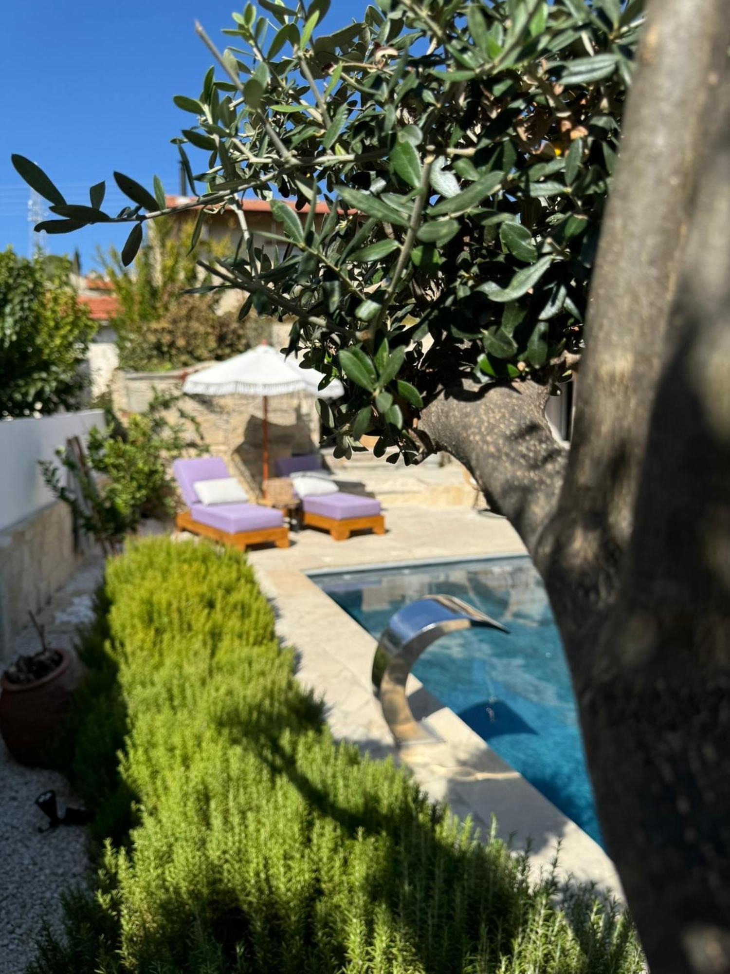 Fig&Olive Luxury One Bedroom Boutique In Pachna 利马索尔 外观 照片